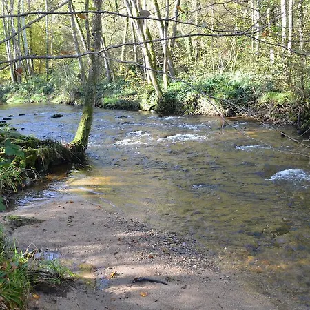 Domaine Du Randier Ferrières-sur-Sichon