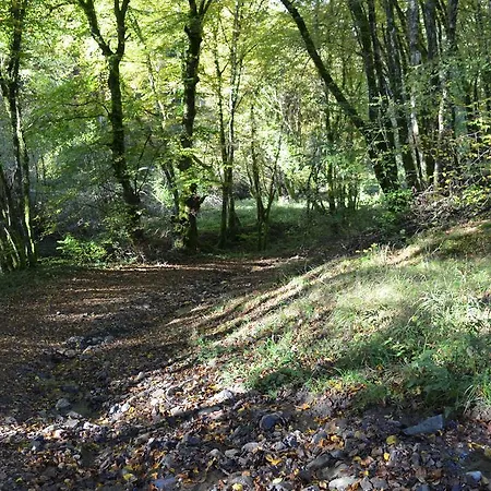 Domaine Du Randier Ferrières-sur-Sichon